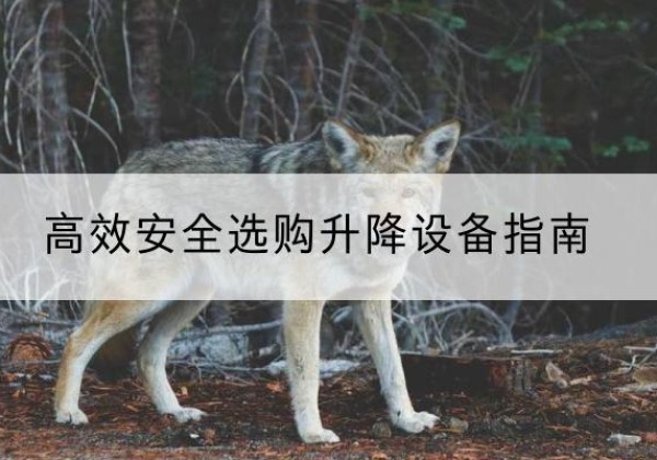 叙永升降货梯厂家推荐-*安全选购升降设备指南