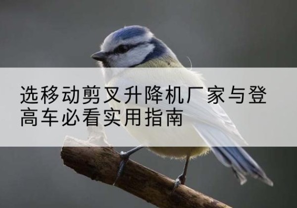 叙永电动升降机厂家-选移动剪叉升降机厂家与登高车必看实用指南